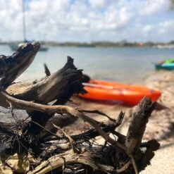 Pelican Sport Pulse 100X With Paddle Kayak -Pelican Sport KOS10P102 00 LS4