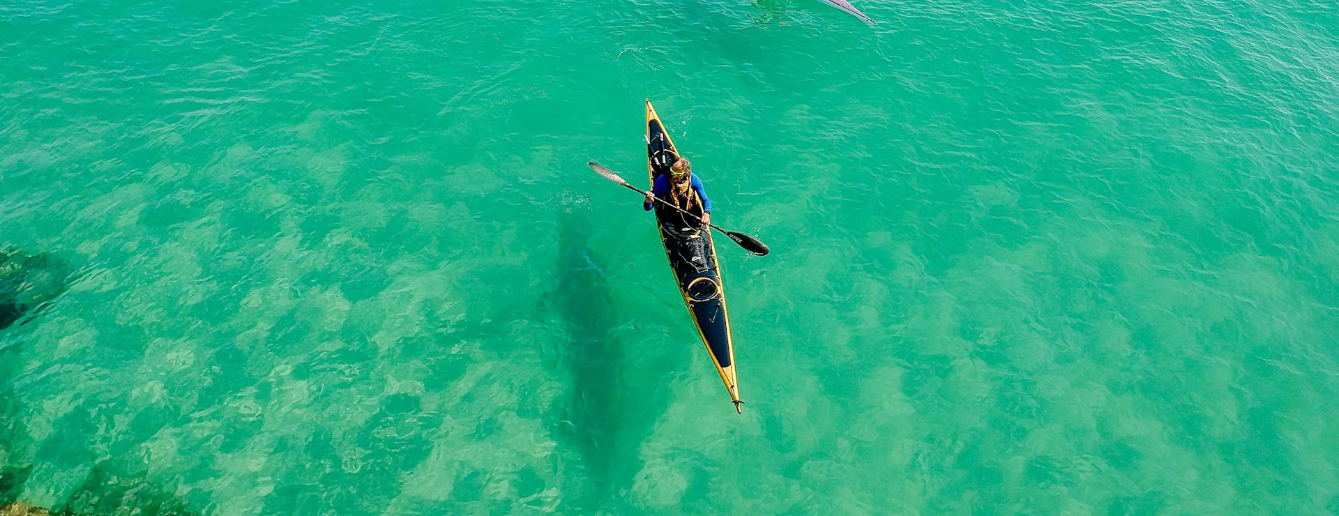 Pelican Sport -Pelican Sport pexels alexander bobrov 390088 1036864